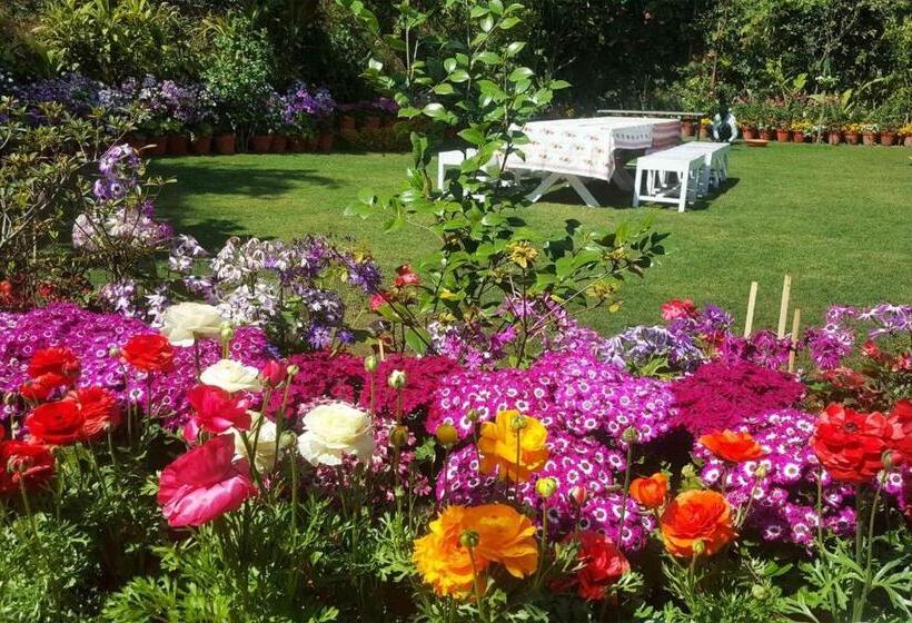 Shaheen Bagh   A Luxury Boutique Resort & Spa