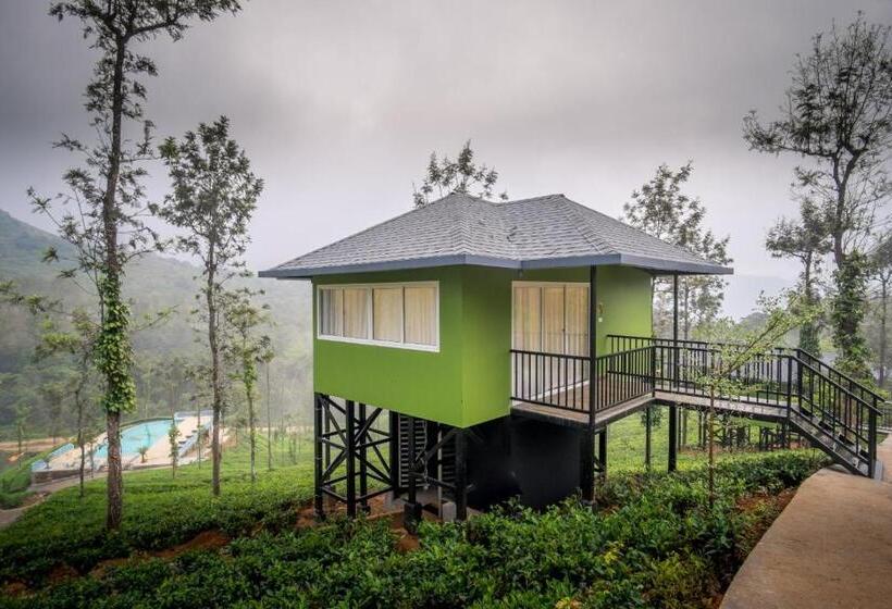 Wild Planet Jungle Resort