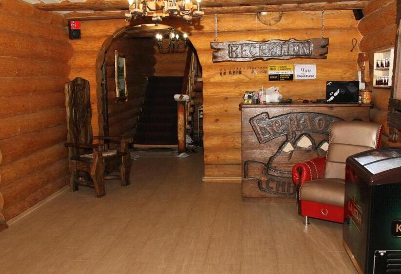 Общежитие Berloga Sinevir