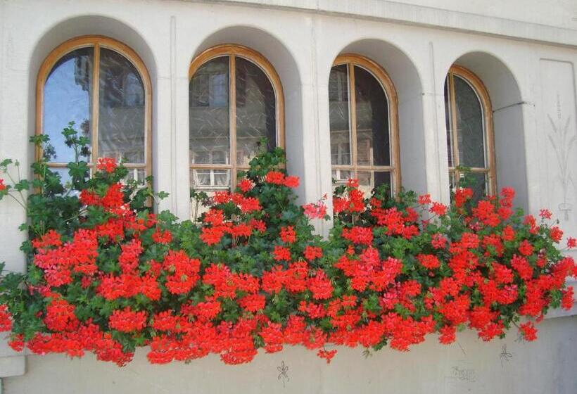 فندق صغير Gasthof Krone