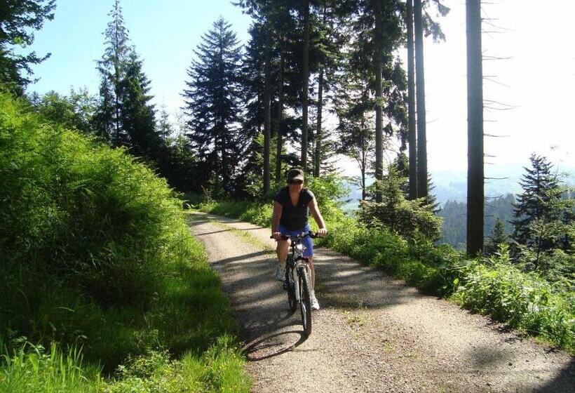 فندق صغير Gasthof Krone