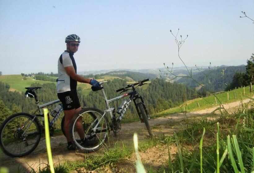 فندق صغير Gasthof Krone