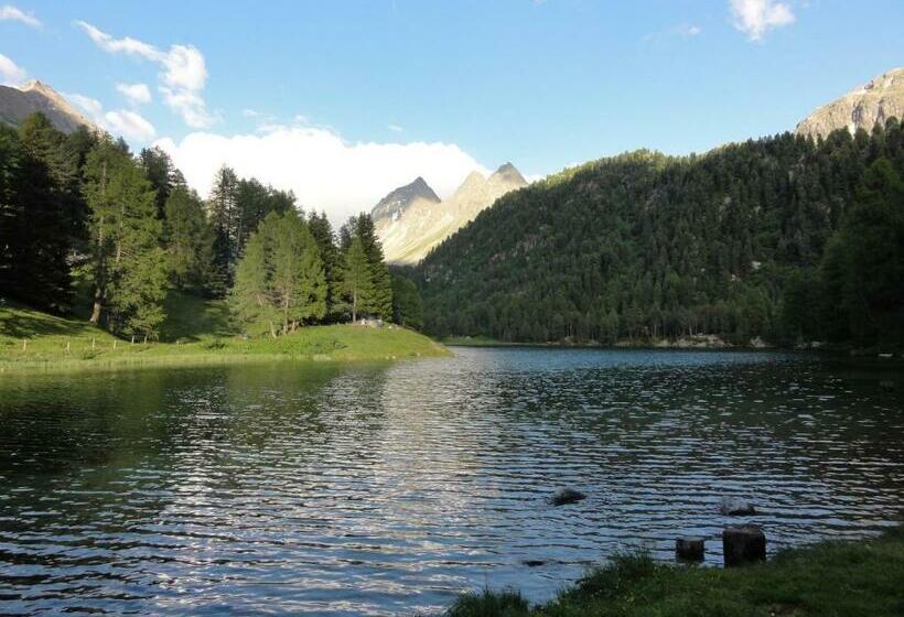 فندق صغير Preda Kulm