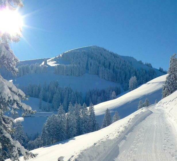 הוסטל Rigi Klösterli