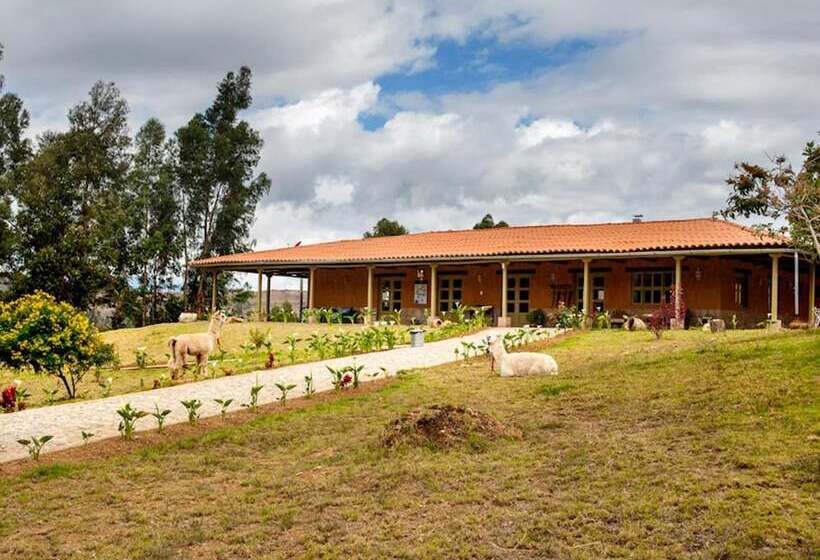 هاستل Tambo Sapalanchan