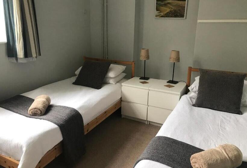 旅馆 The Old Ham Tree