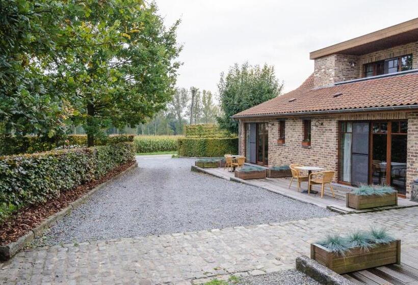 B&b Het Hof Van Petronilla