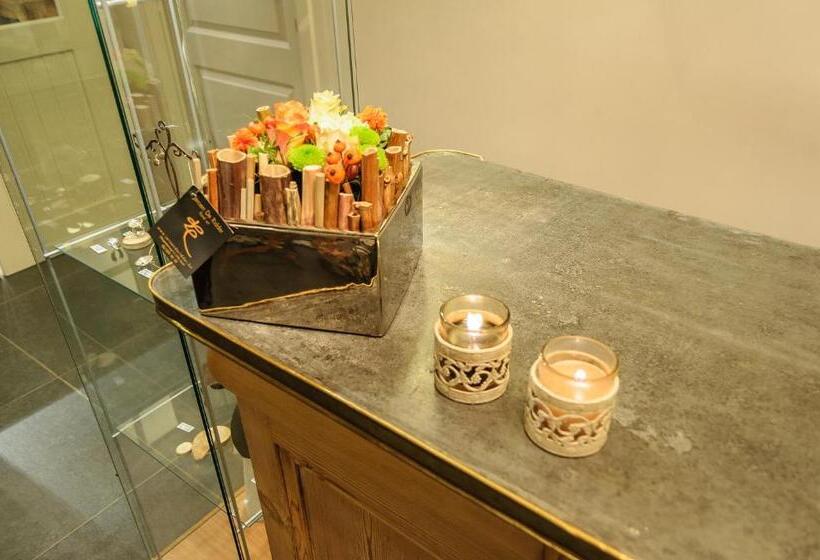 B&b Het Hof Van Petronilla