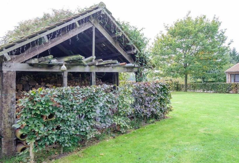 B&b Het Hof Van Petronilla