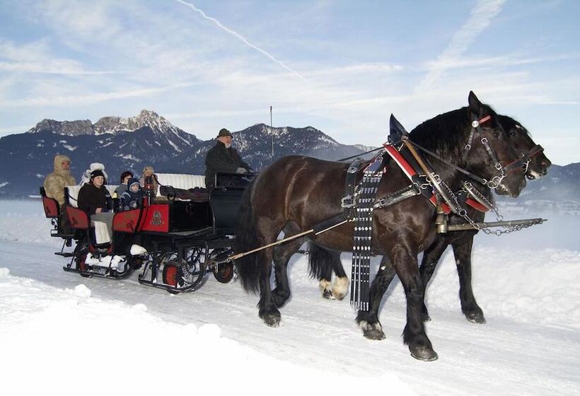 ベッドアンドブレックファースト Alpenmotel Säuling