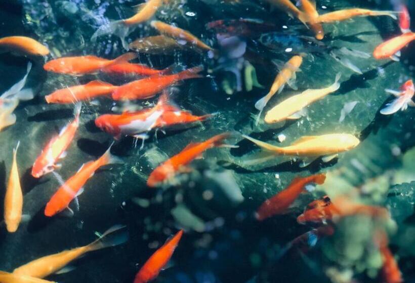 مبيت وإفطار Kaya La Provence