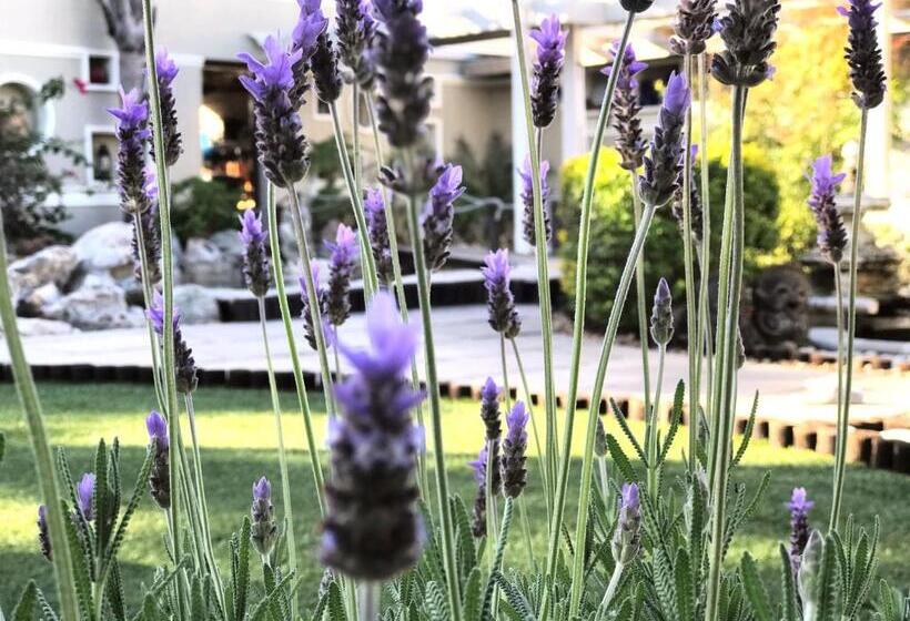 مبيت وإفطار Kaya La Provence