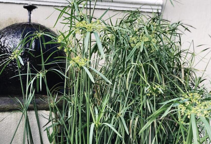 مبيت وإفطار Kaya La Provence