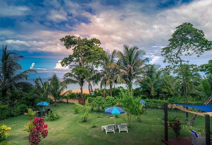 住宿加早餐  Oasis Bluff Beach