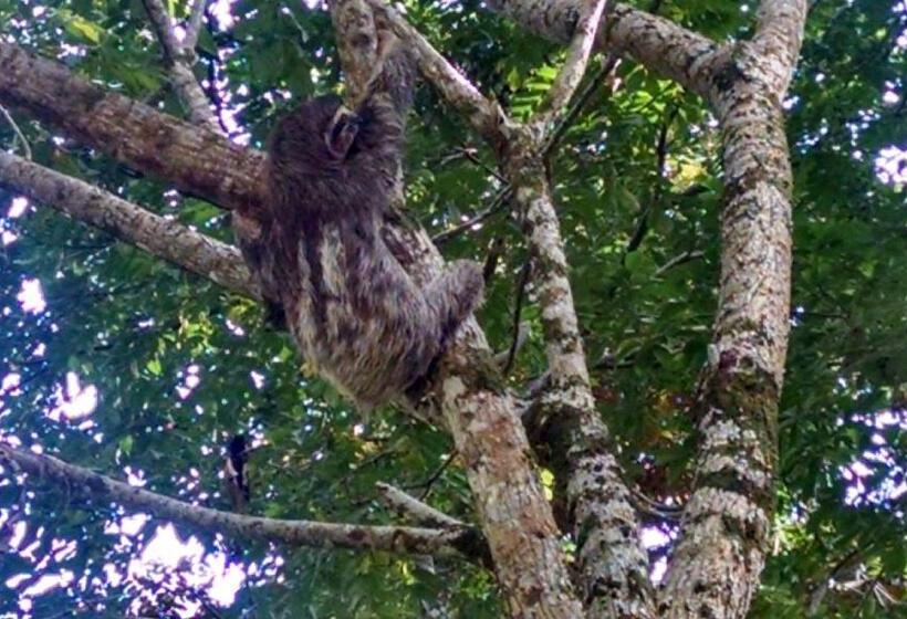 ベッドアンドブレックファースト Surf Break At Paunch