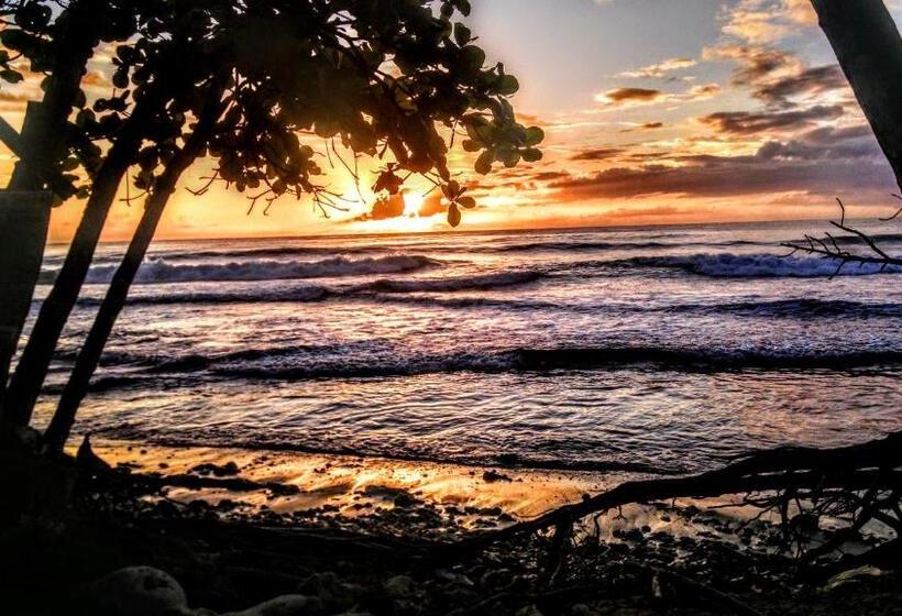 민박 Surf Break At Paunch