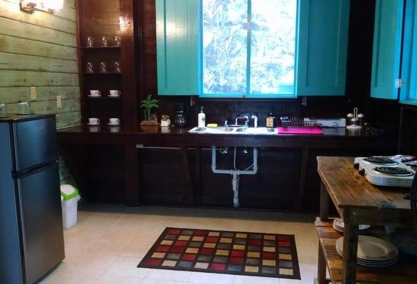 ベッドアンドブレックファースト Surf Break At Paunch