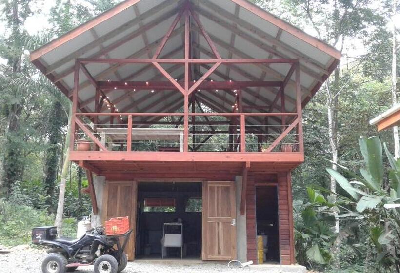 ベッドアンドブレックファースト Surf Break At Paunch