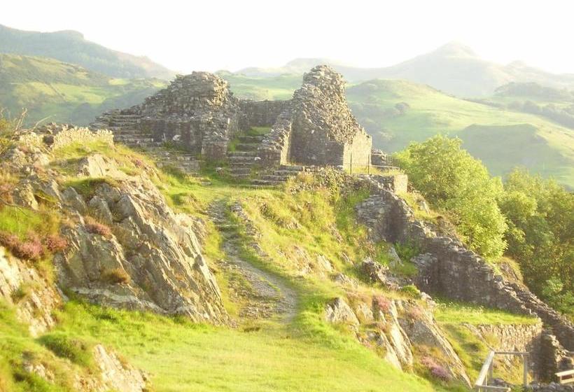 Bed and Breakfast The Dolgoch