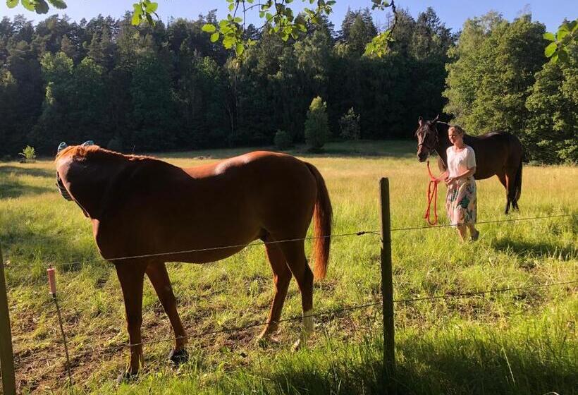 צימר Finas Torpgård B&k