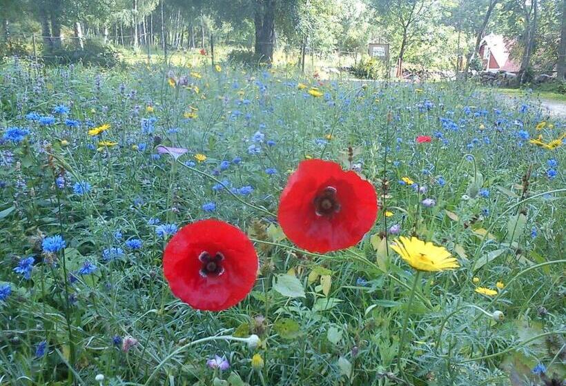 צימר Finas Torpgård B&k