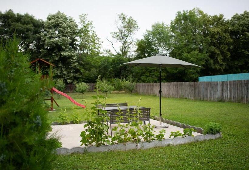 Отель Agropensiunea Cetatuia