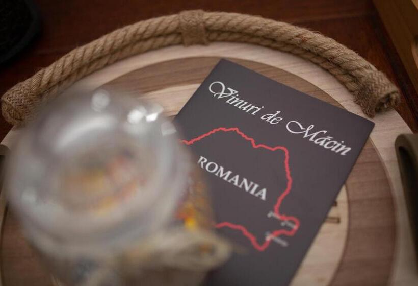 Отель Agropensiunea Cetatuia