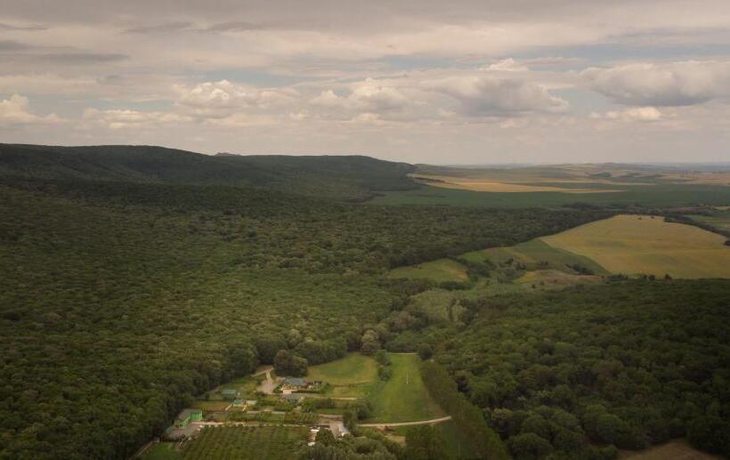 Отель Agropensiunea Cetatuia