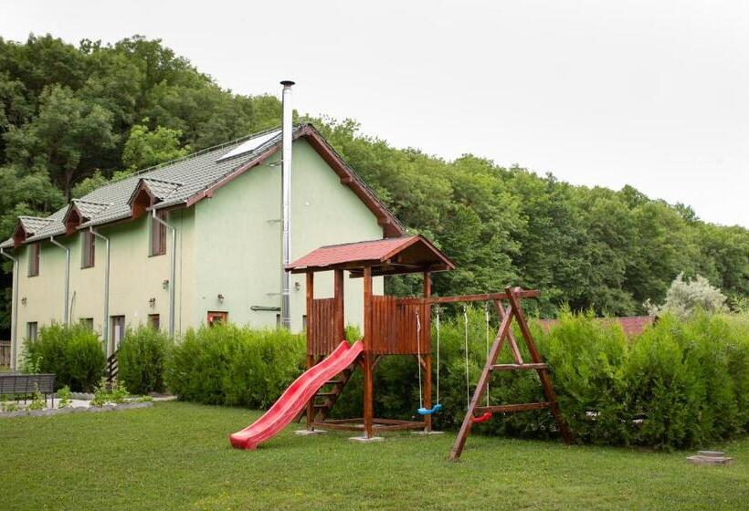 Отель Agropensiunea Cetatuia