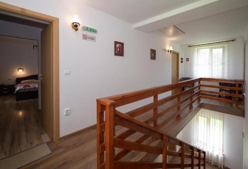 Отель Agropensiunea Cetatuia