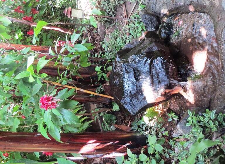 فندق Agua Blanca