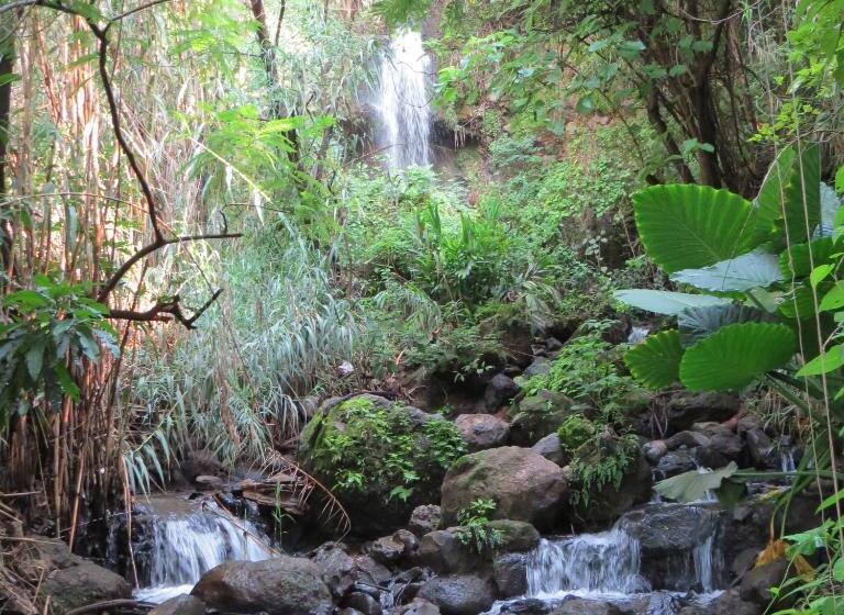 فندق Agua Blanca