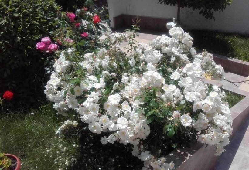 בית מלון כפרי Aleksievata Kashta