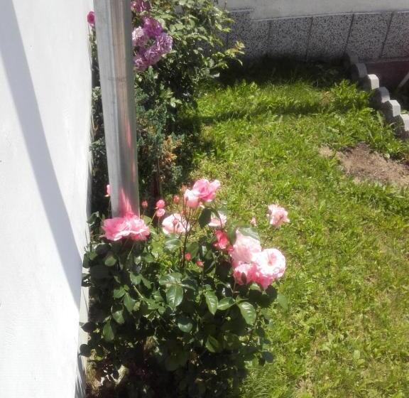 فندق Aleksievata Kashta