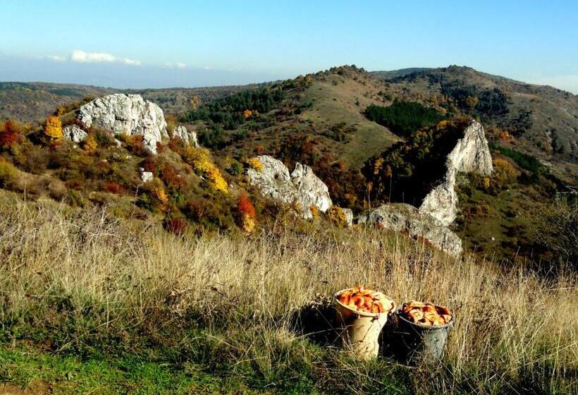 בית מלון כפרי Aleksievata Kashta