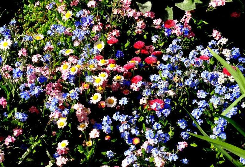 בית מלון כפרי Aleksievata Kashta