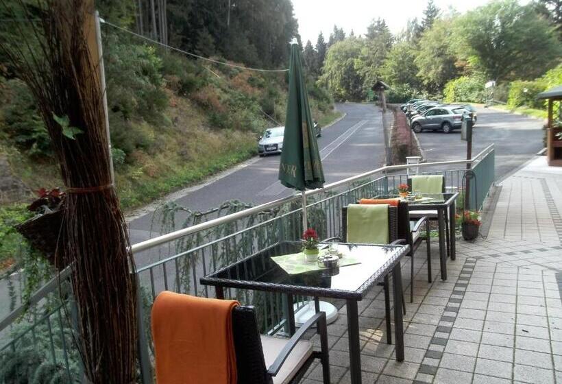 호텔 Am Wald  Garni