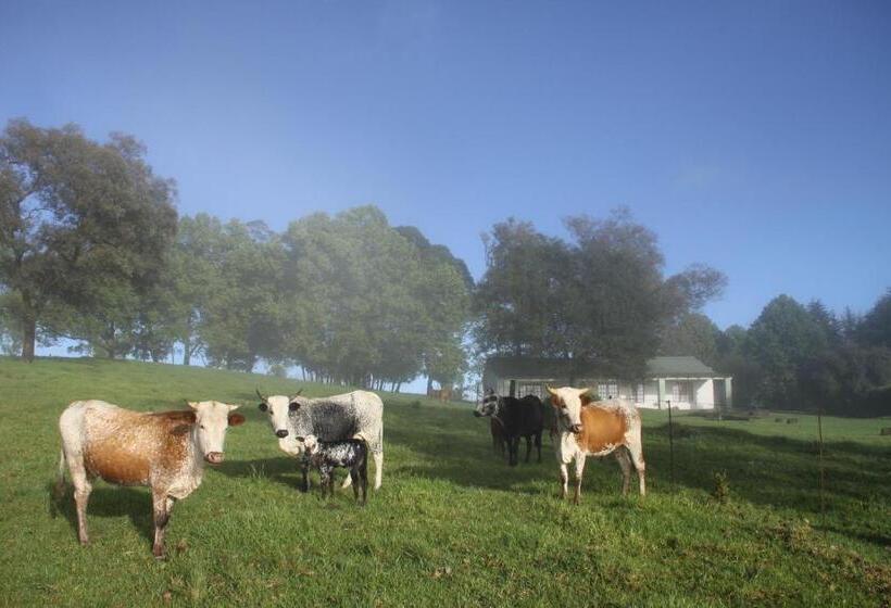 בית מלון כפרי Beverley Country Cottages