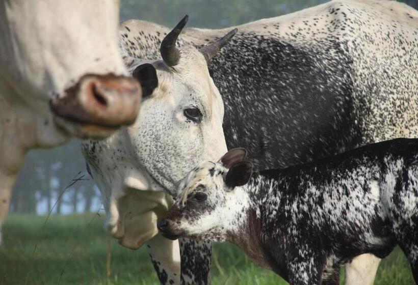 בית מלון כפרי Beverley Country Cottages