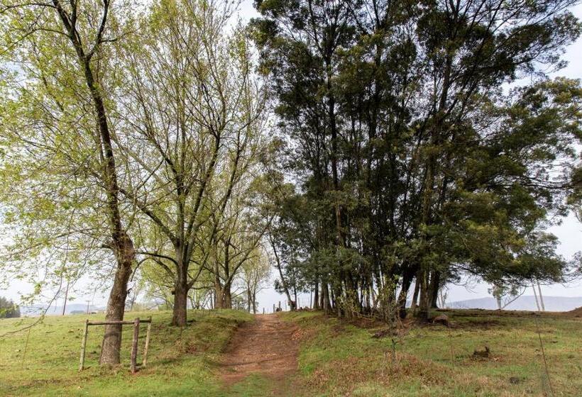 בית מלון כפרי Beverley Country Cottages