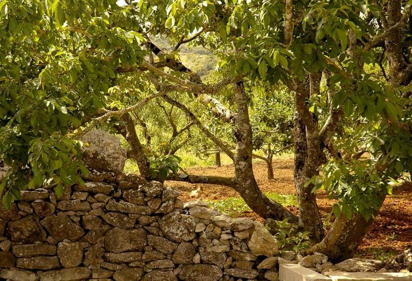 בית מלון כפרי Casal Da Serrana