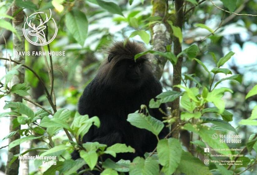 酒店 Davis Farm House