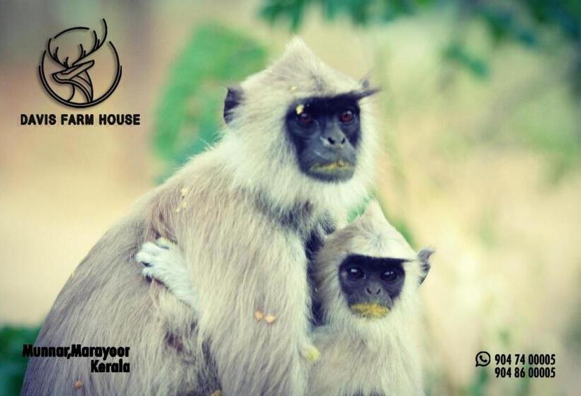 酒店 Davis Farm House