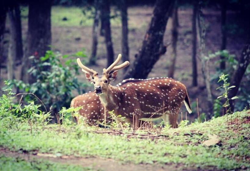 酒店 Davis Farm House