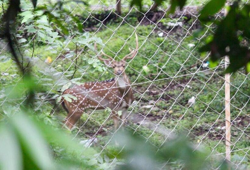 酒店 Davis Farm House