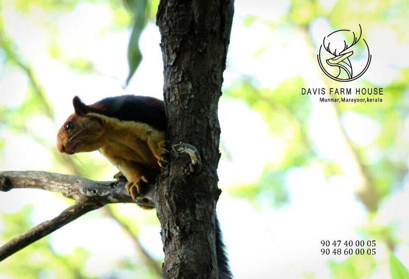 酒店 Davis Farm House