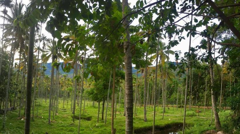 酒店 Davis Farm House