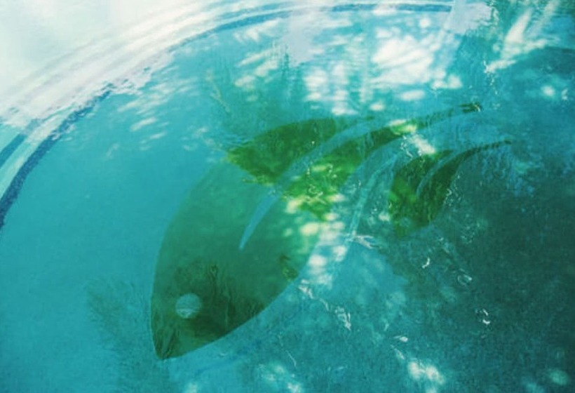 Отель El Sitio De Playa Venao