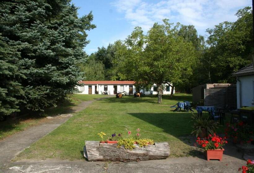 호텔 Ferienparadies Waldidylle, Familiengeführt Seit 20 Jahren   Mit Großem Pool Und Viel Platz!