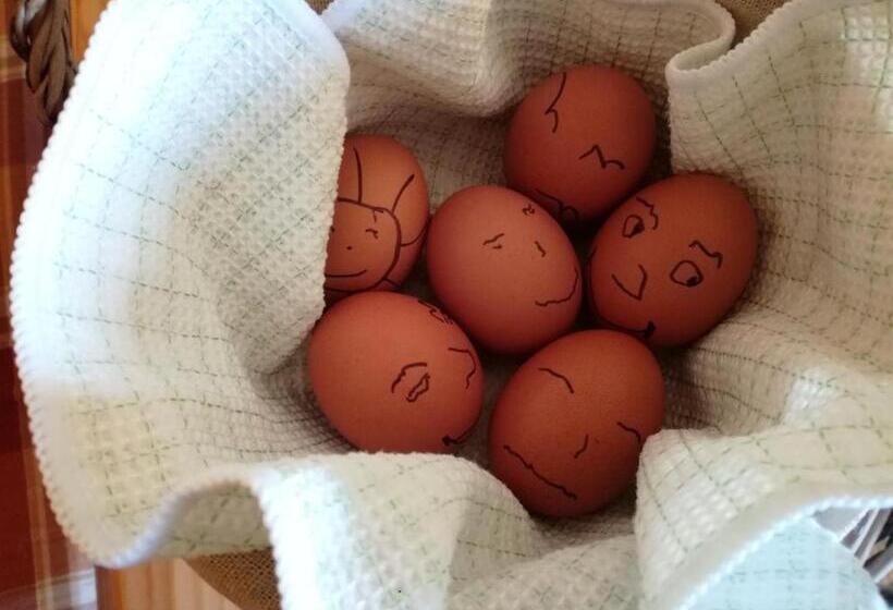 בית מלון כפרי Ferienparadies Waldidylle, Familiengeführt Seit 20 Jahren   Mit Großem Pool Und Viel Platz!